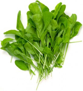 Roquette