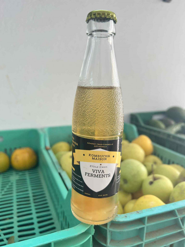 Kombucha maison Étoile d'Anis