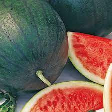 Pastèque 'guiza' bio 4 à 5kg