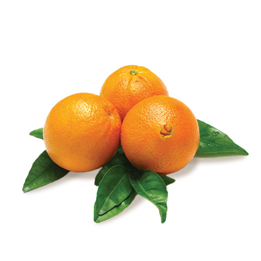 Orange Thomson bio