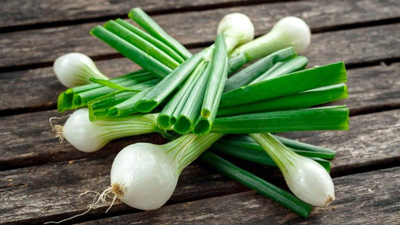 oignon vert