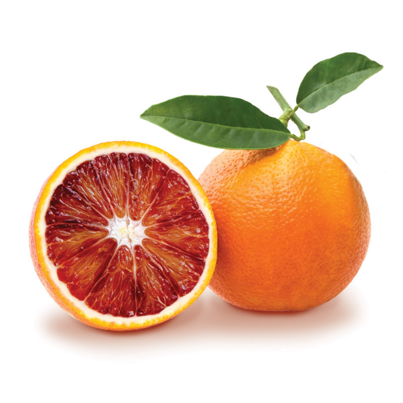 Orange sanguine